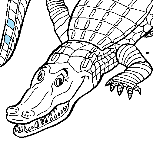 Раскраска: аллигатор (Животные) #474 - Бесплатные раскраски для печати