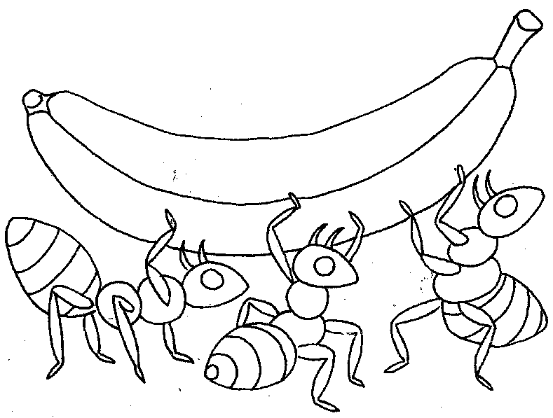 Раскраска: муравей (Животные) #6935 - Бесплатные раскраски для печати