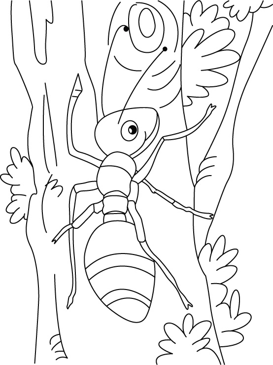 Раскраска: муравей (Животные) #6957 - Бесплатные раскраски для печати