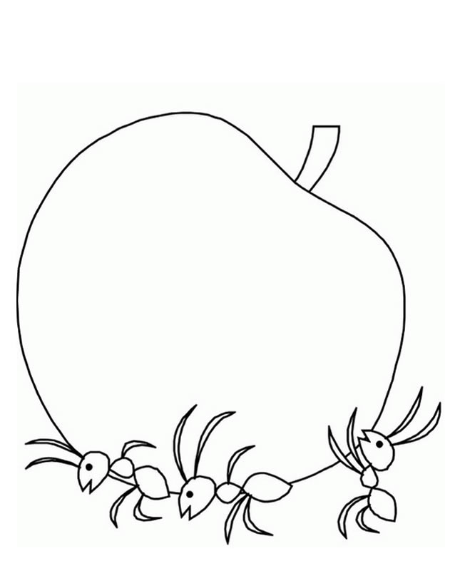 Раскраска: муравей (Животные) #6964 - Бесплатные раскраски для печати