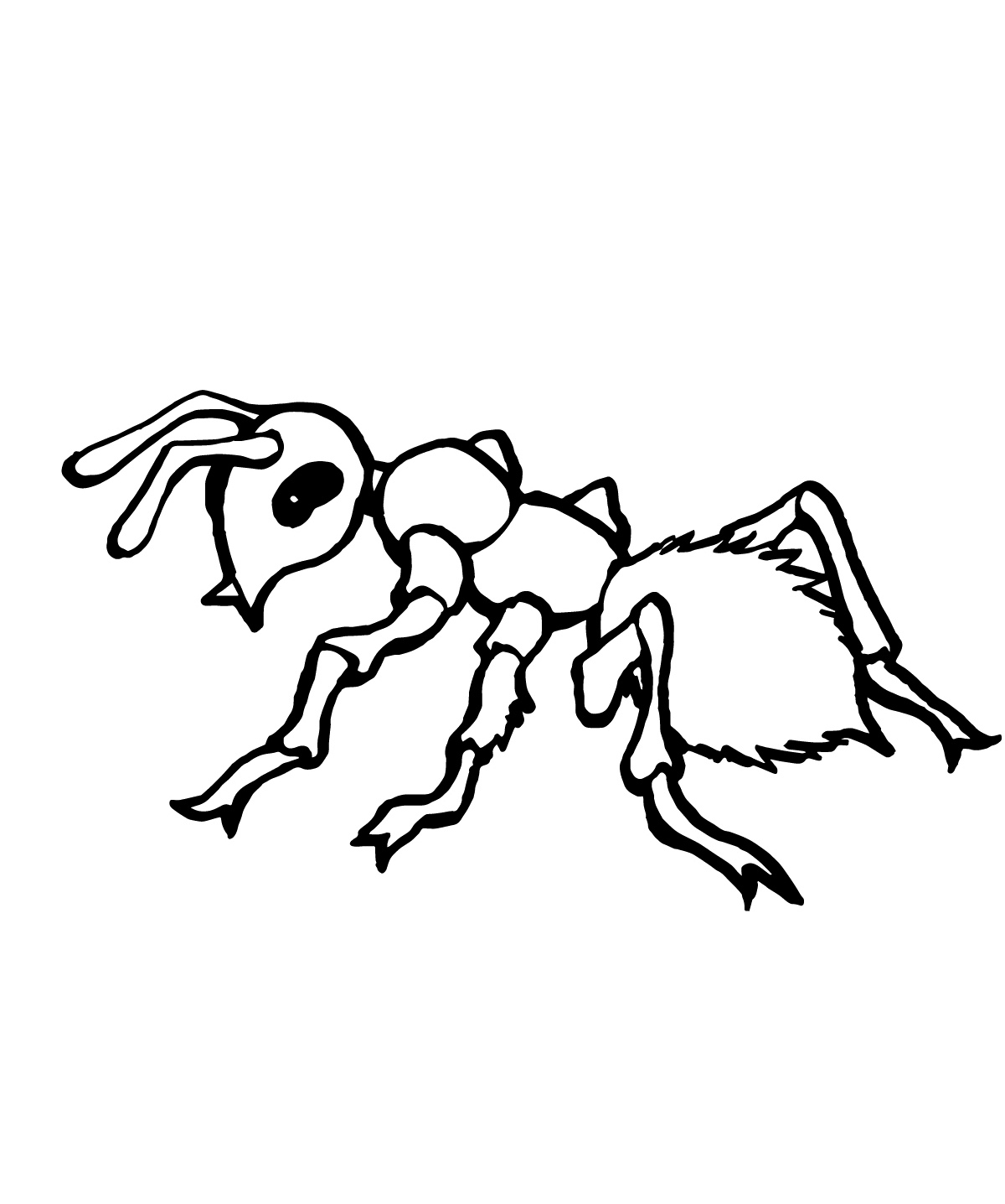 Раскраска: муравей (Животные) #7001 - Бесплатные раскраски для печати