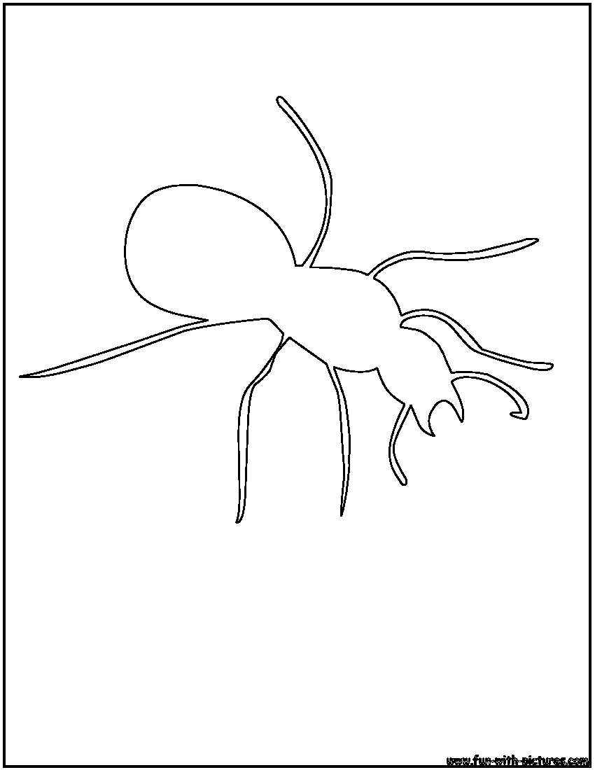 Раскраска: муравей (Животные) #7094 - Бесплатные раскраски для печати