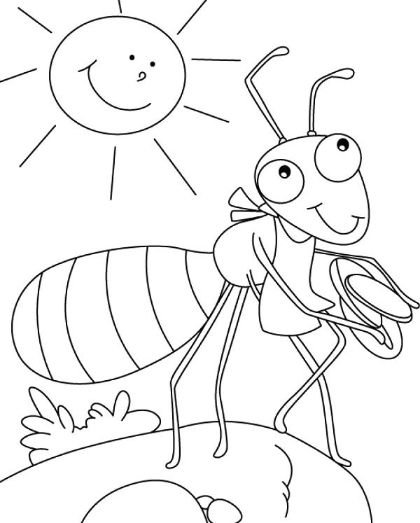 Раскраска: муравей (Животные) #7111 - Бесплатные раскраски для печати