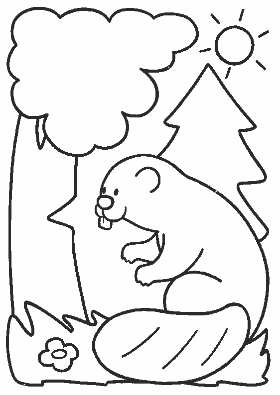 Раскраска: бобр (Животные) #1594 - Бесплатные раскраски для печати