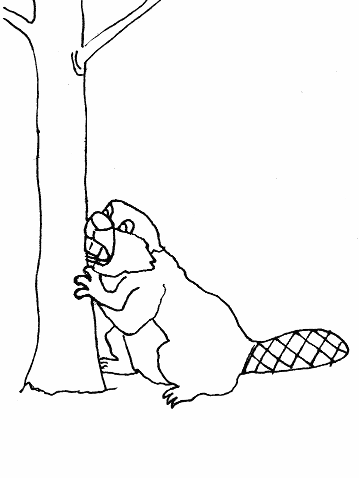 Раскраска: бобр (Животные) #1622 - Бесплатные раскраски для печати