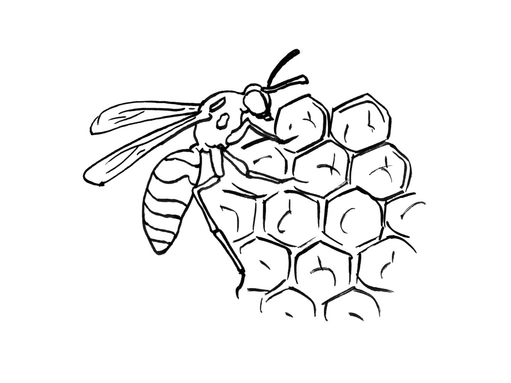 Раскраска: пчела (Животные) #142 - Бесплатные раскраски для печати