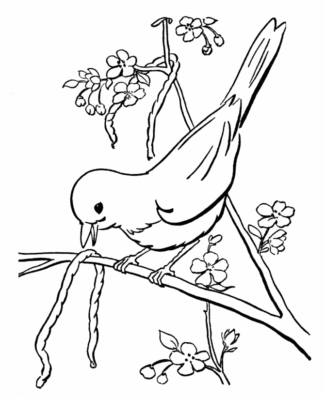 Раскраска: домашняя птица (Животные) #11885 - Бесплатные раскраски для печати