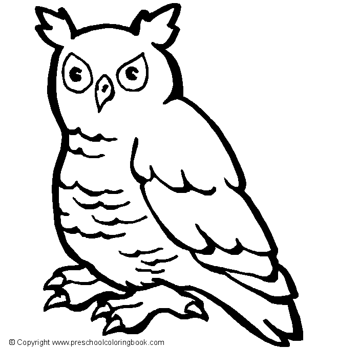 Раскраска: домашняя птица (Животные) #11984 - Бесплатные раскраски для печати