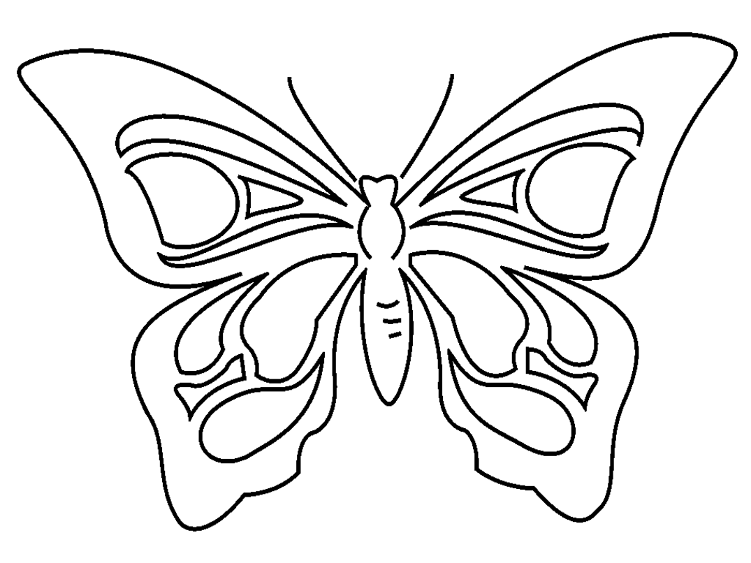 Раскраска: бабочка (Животные) #15707 - Бесплатные раскраски для печати