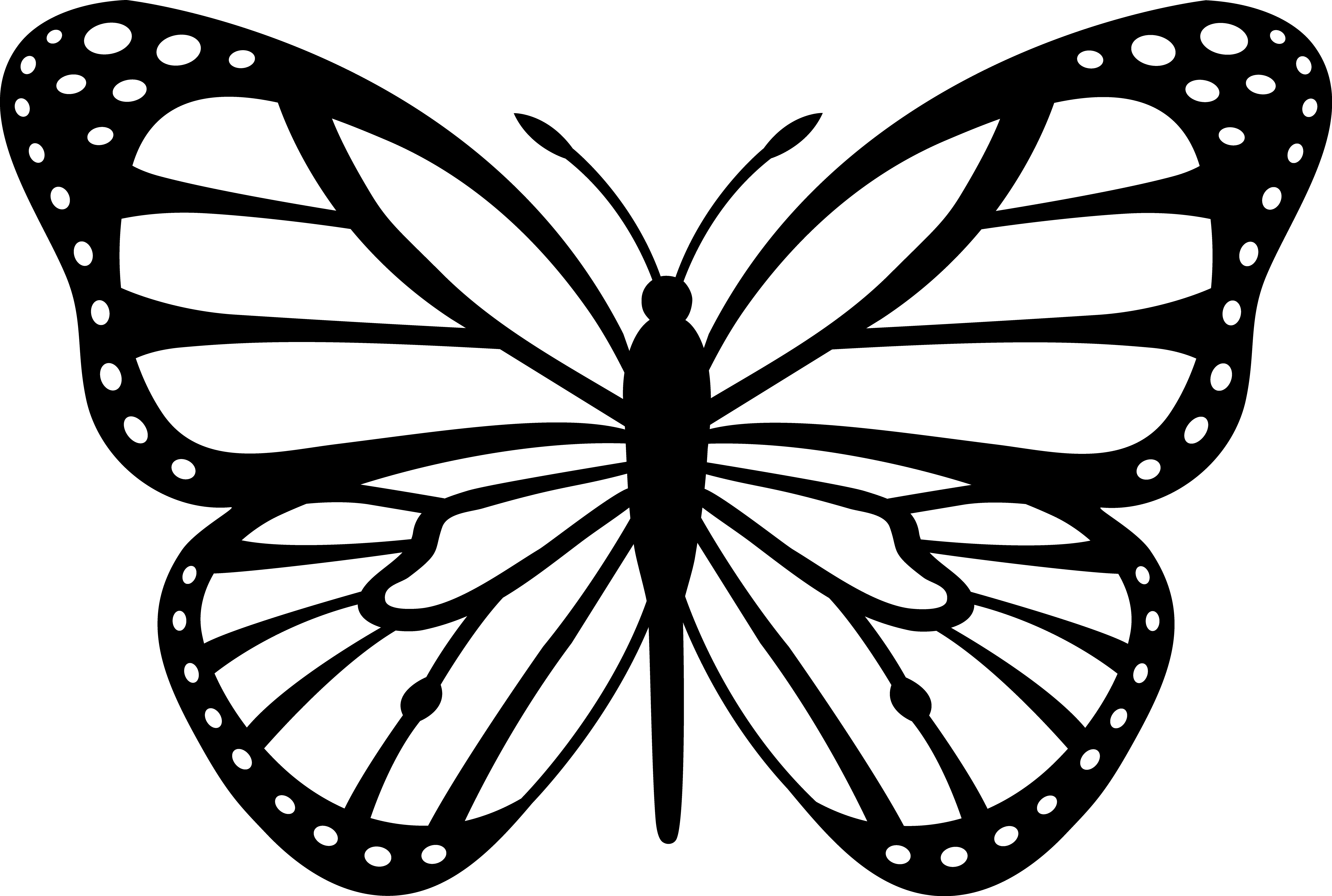 Раскраска: бабочка (Животные) #15834 - Бесплатные раскраски для печати