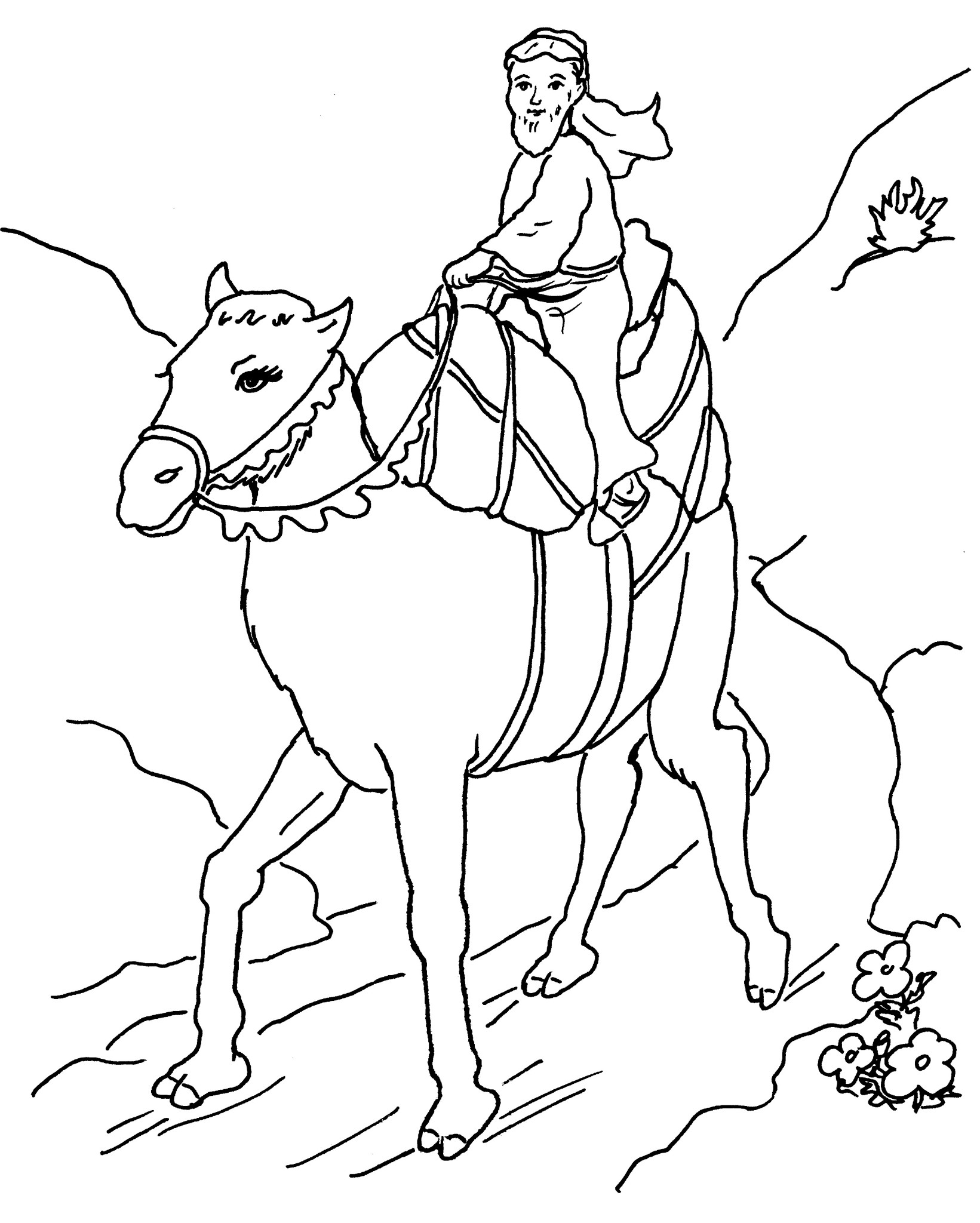 Раскраска: верблюд (Животные) #1709 - Бесплатные раскраски для печати