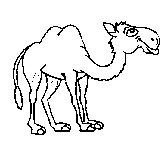Раскраска: верблюд (Животные) #1719 - Бесплатные раскраски для печати