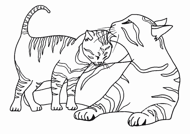 Раскраска: кот (Животные) #1776 - Бесплатные раскраски для печати