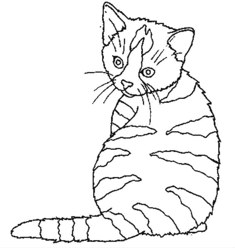 Раскраска: кот (Животные) #1843 - Бесплатные раскраски для печати