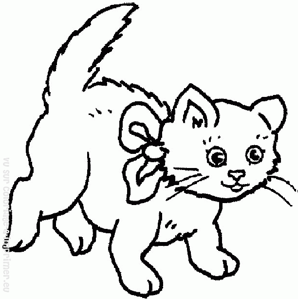 Раскраска: кот (Животные) #1906 - Бесплатные раскраски для печати