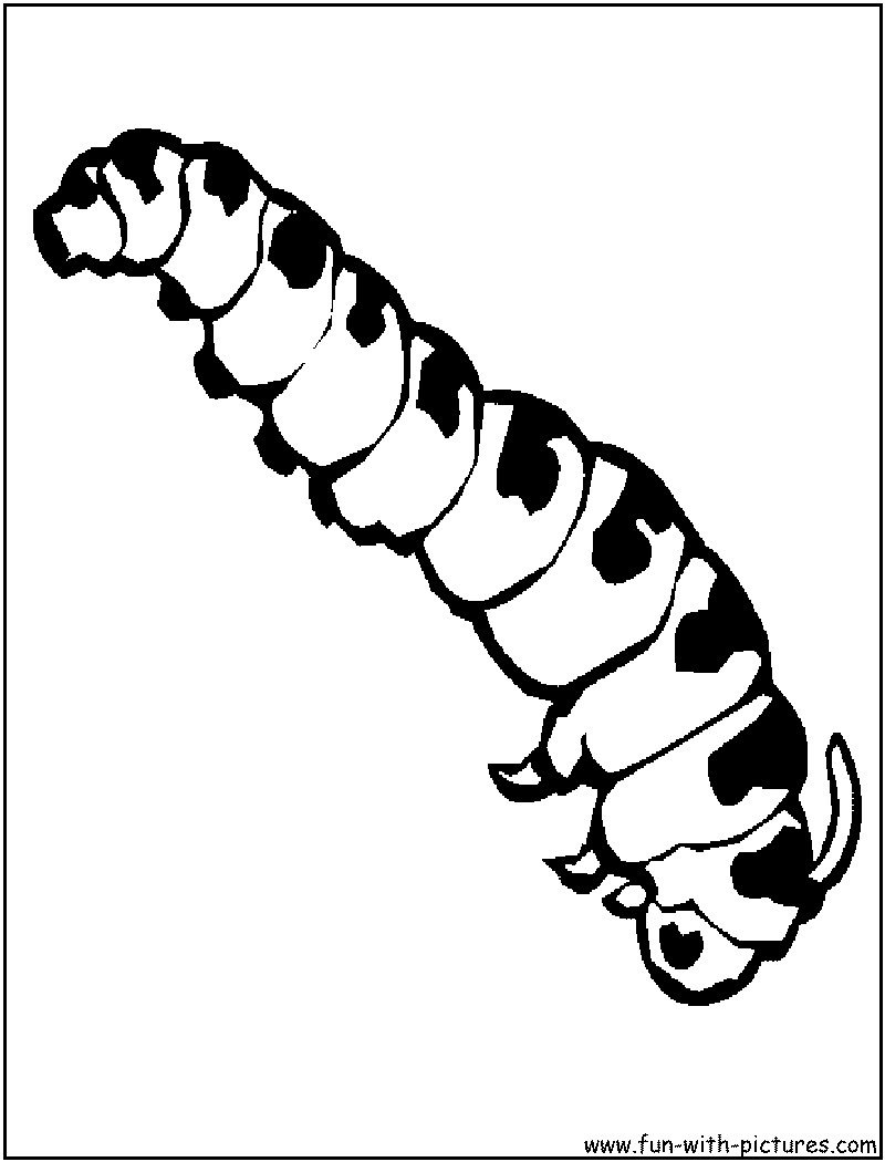 Раскраска: гусеница (Животные) #18238 - Бесплатные раскраски для печати