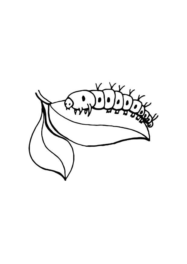 Раскраска: гусеница (Животные) #18316 - Бесплатные раскраски для печати