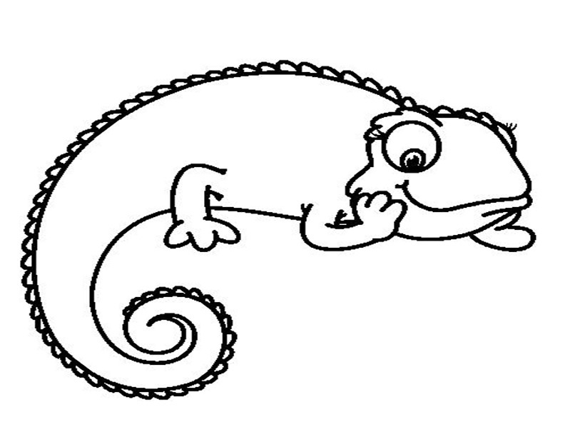 Раскраска: хамелеон (Животные) #1398 - Бесплатные раскраски для печати