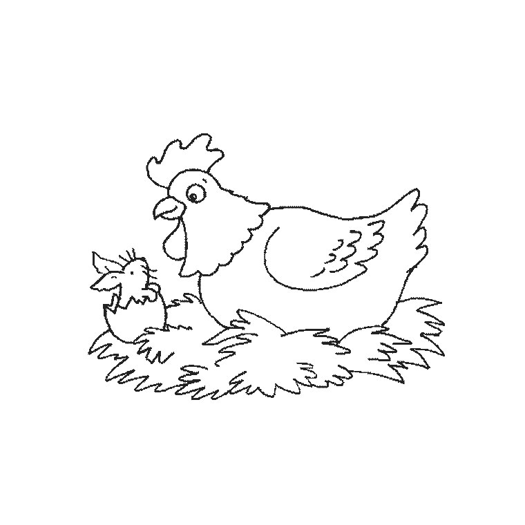 Раскраска: курица (Животные) #17295 - Бесплатные раскраски для печати