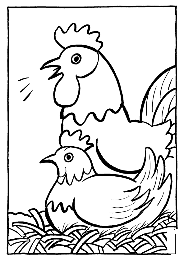 Раскраска: курица (Животные) #17339 - Бесплатные раскраски для печати