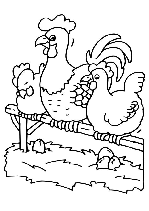 Раскраска: курица (Животные) #17392 - Бесплатные раскраски для печати