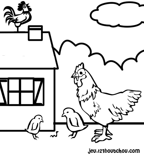 Раскраска: курица (Животные) #17393 - Бесплатные раскраски для печати