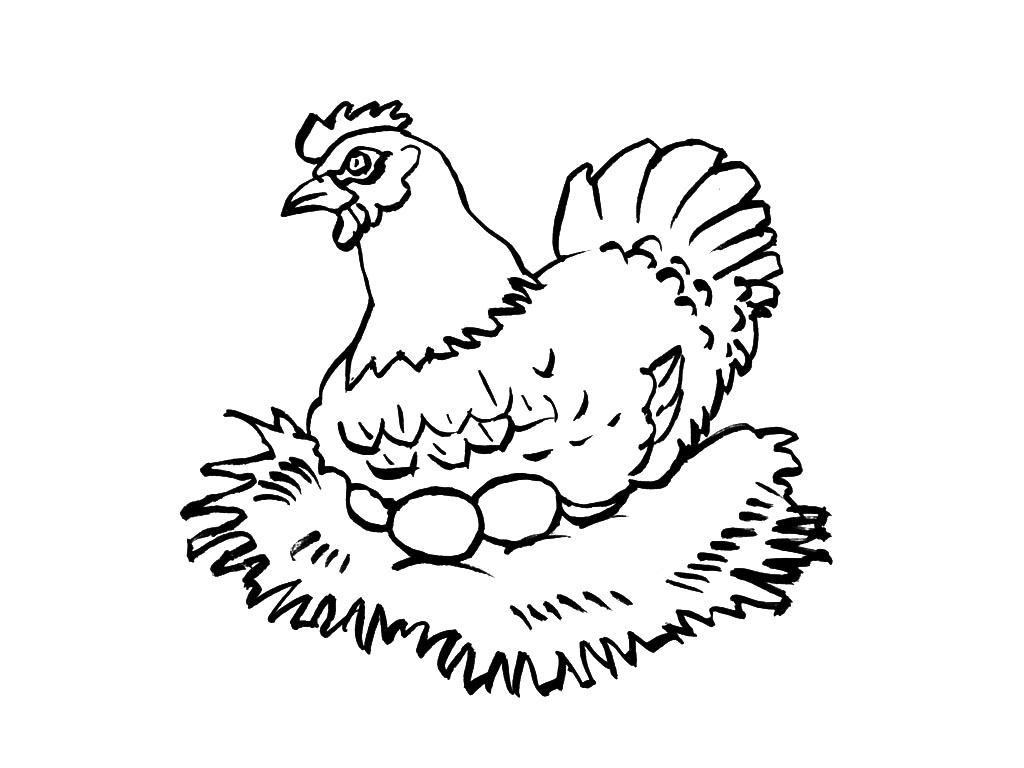 Раскраска: курица (Животные) #17397 - Бесплатные раскраски для печати
