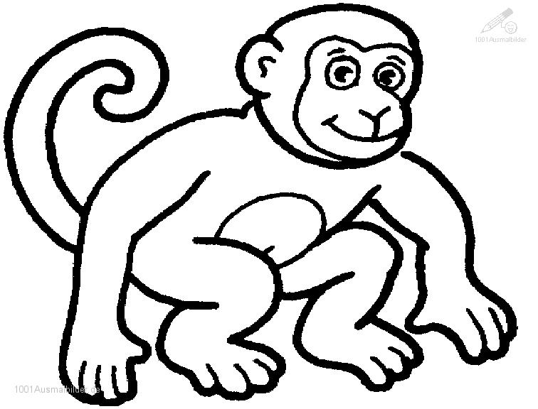 Раскраска: шимпанзе (Животные) #2788 - Бесплатные раскраски для печати