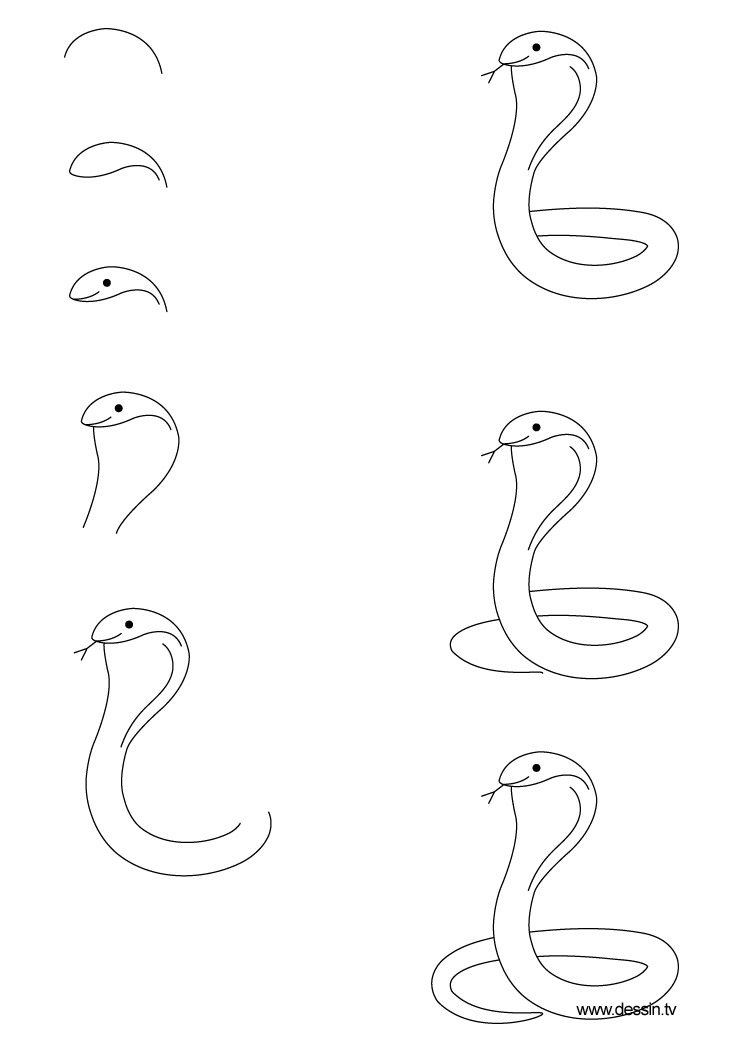 Раскраска: кобра (Животные) #3375 - Бесплатные раскраски для печати