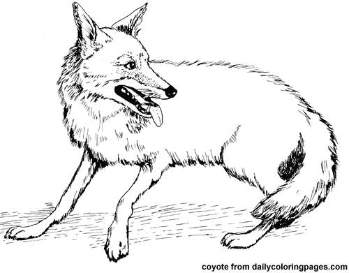 Раскраска: койот (Животные) #4526 - Бесплатные раскраски для печати