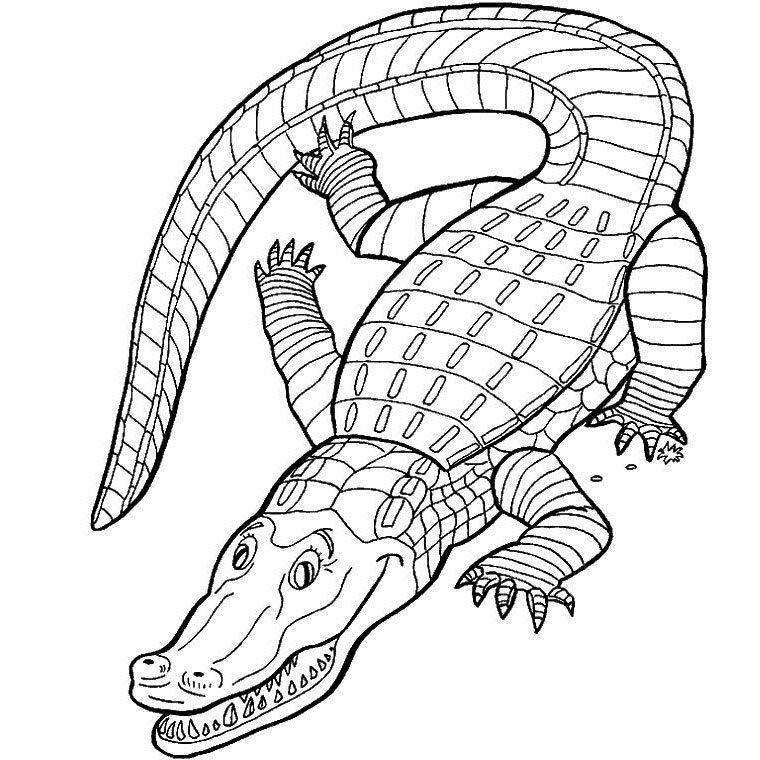 Раскраска: крокодил (Животные) #4791 - Бесплатные раскраски для печати