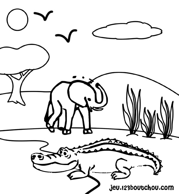 Раскраска: крокодил (Животные) #4796 - Бесплатные раскраски для печати