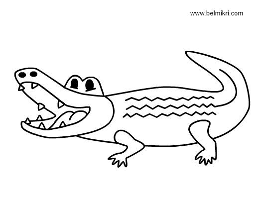 Раскраска: крокодил (Животные) #4845 - Бесплатные раскраски для печати
