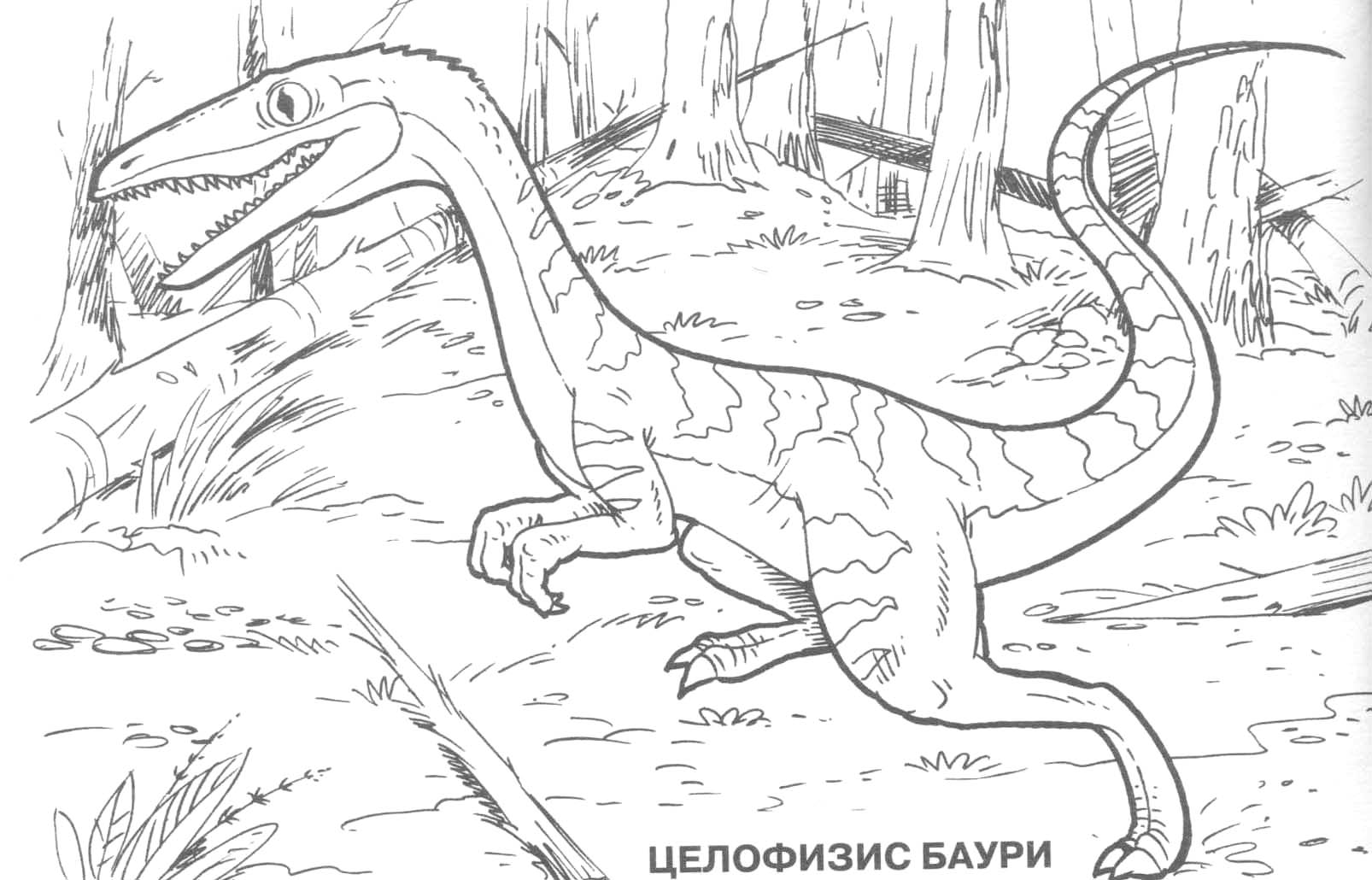 Раскраска: динозавр (Животные) #5676 - Бесплатные раскраски для печати