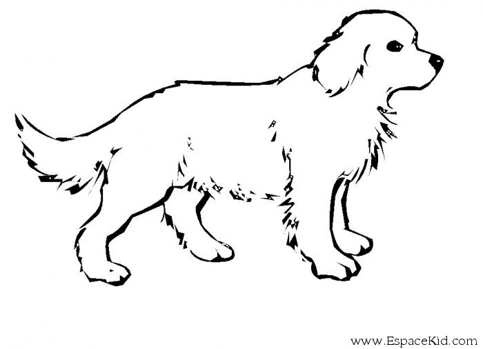 Раскраска: собака (Животные) #14 - Бесплатные раскраски для печати