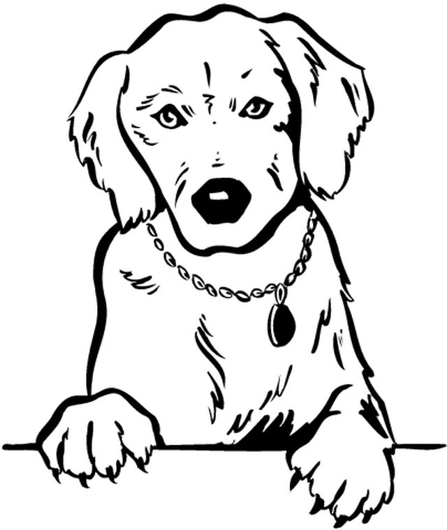 Раскраска: собака (Животные) #18 - Бесплатные раскраски для печати