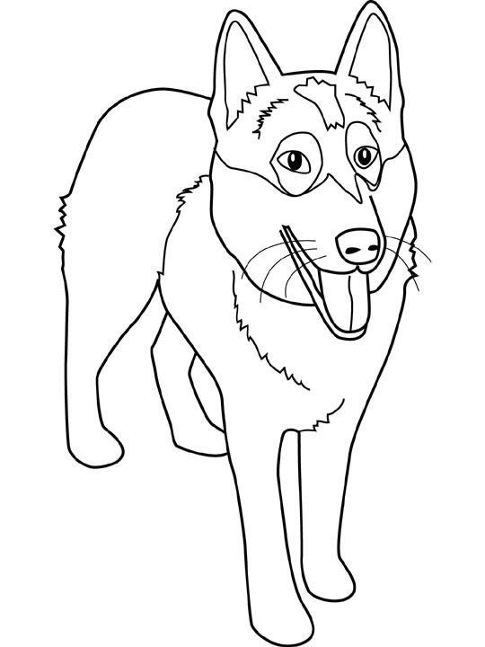 Раскраска: собака (Животные) #30 - Бесплатные раскраски для печати