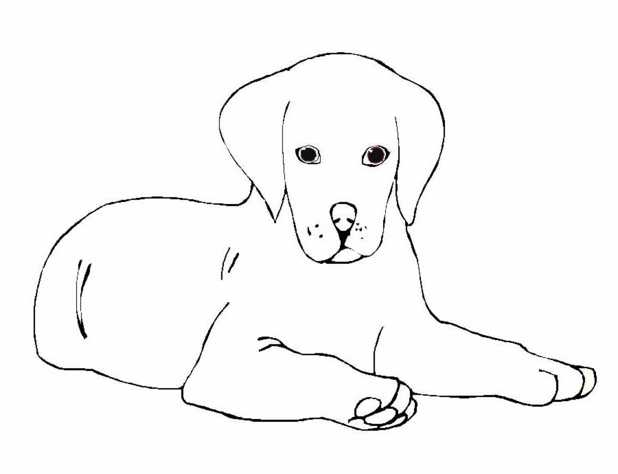 Раскраска: собака (Животные) #3108 - Бесплатные раскраски для печати