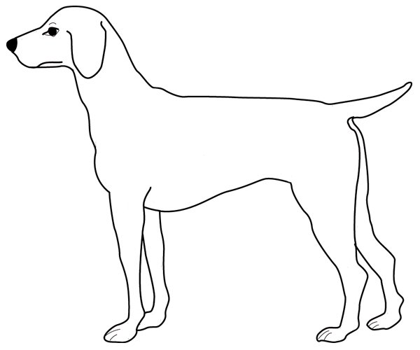 Раскраска: собака (Животные) #3123 - Бесплатные раскраски для печати