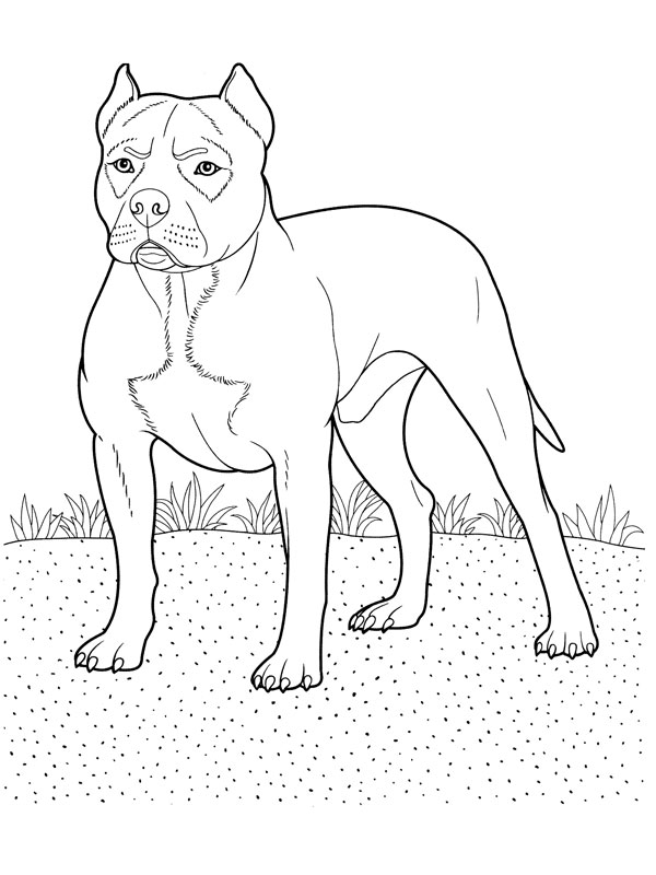 Раскраска: собака (Животные) #3138 - Бесплатные раскраски для печати