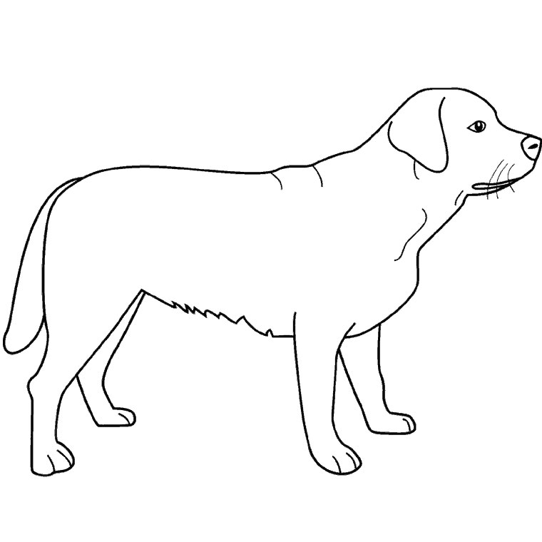 Раскраска: собака (Животные) #3139 - Бесплатные раскраски для печати