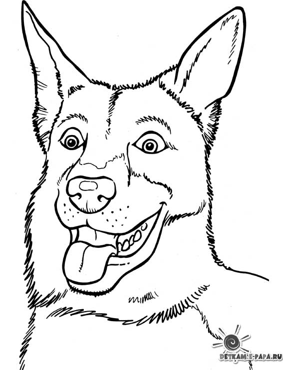 Раскраска: собака (Животные) #3218 - Бесплатные раскраски для печати