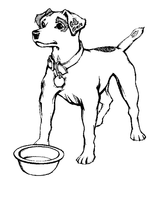 Раскраска: собака (Животные) #4 - Бесплатные раскраски для печати