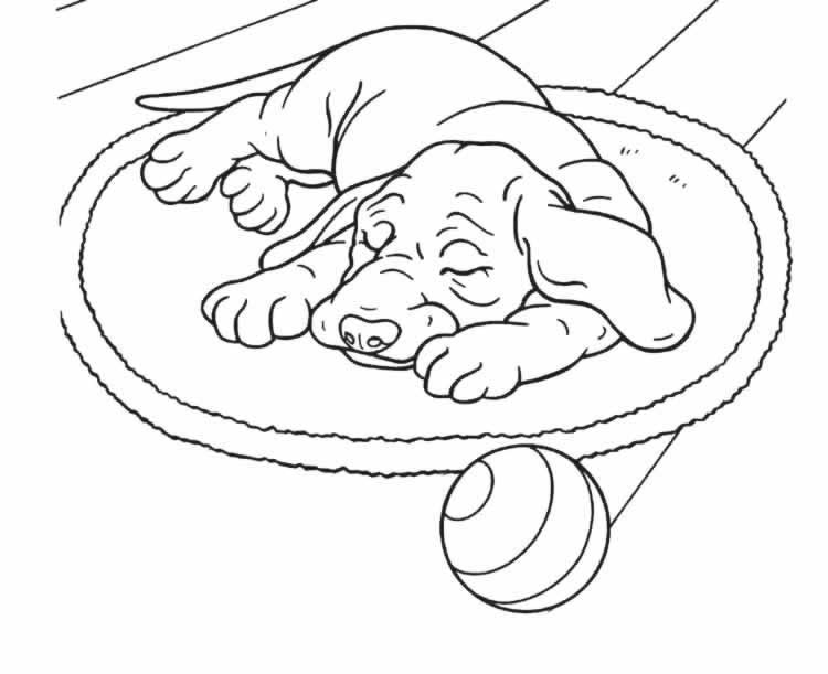 Раскраска: собака (Животные) #51 - Бесплатные раскраски для печати