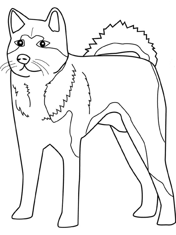 Раскраска: собака (Животные) #62 - Бесплатные раскраски для печати