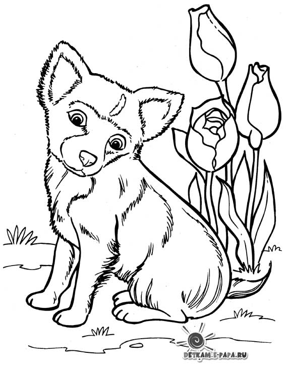 Раскраска: собака (Животные) #69 - Бесплатные раскраски для печати