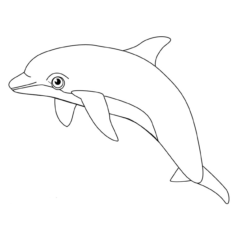 Раскраска: дельфин (Животные) #5096 - Бесплатные раскраски для печати