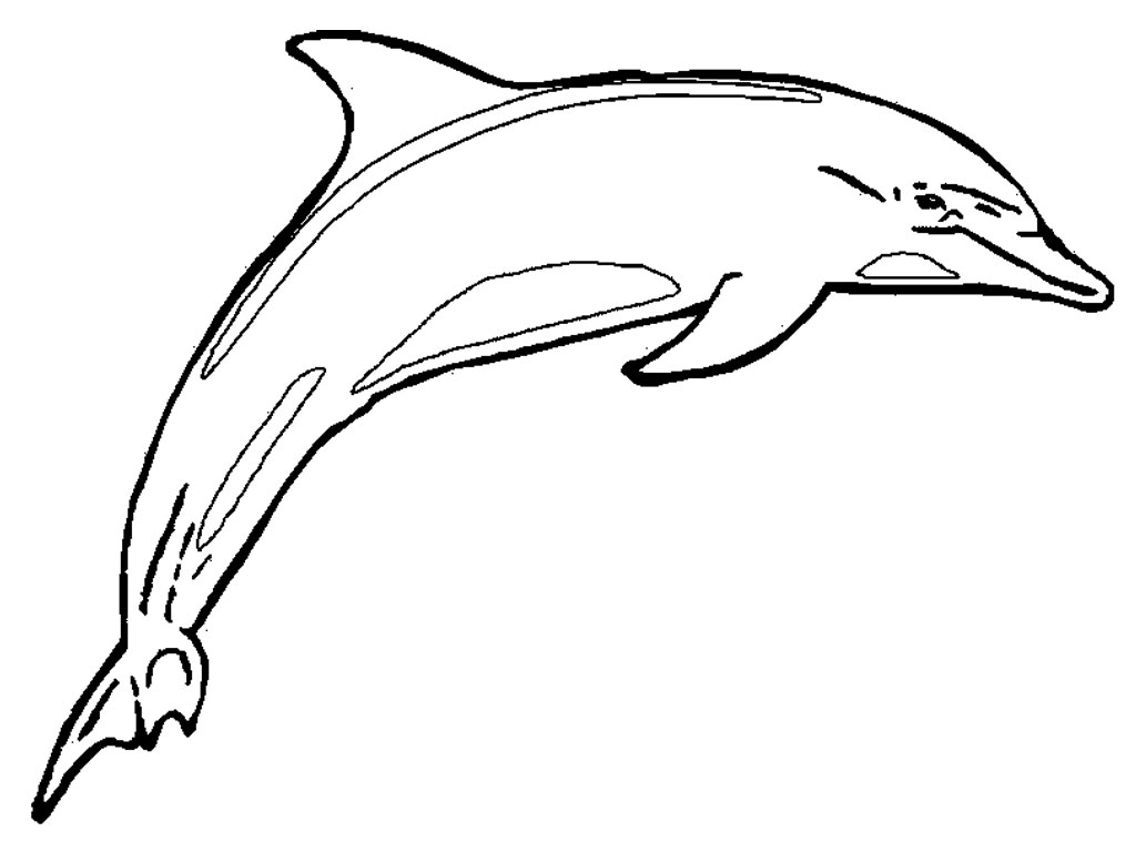 Раскраска: дельфин (Животные) #5099 - Бесплатные раскраски для печати