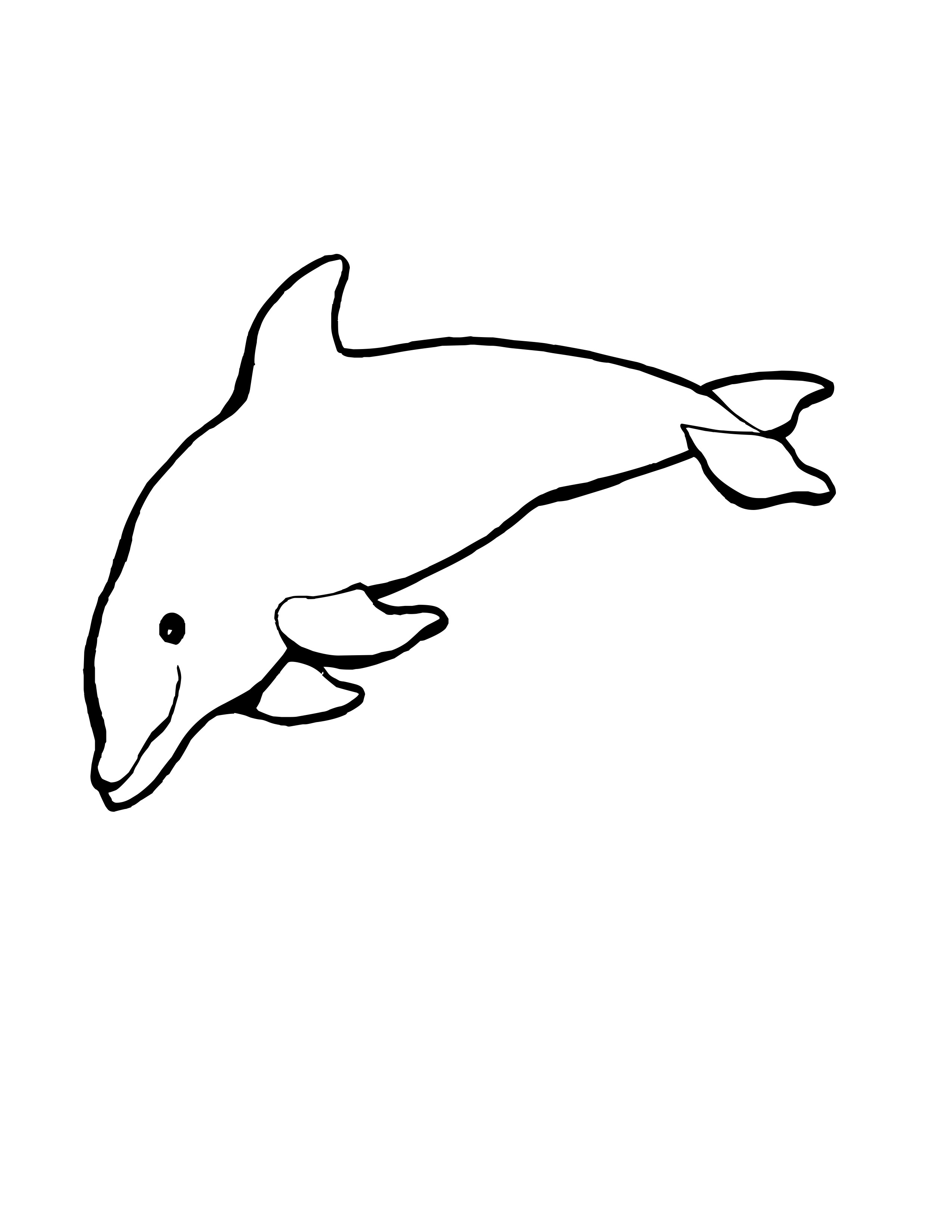 Раскраска: дельфин (Животные) #5138 - Бесплатные раскраски для печати