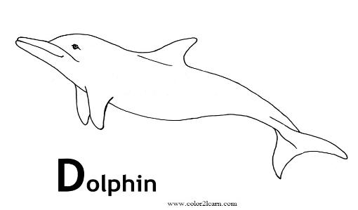 Раскраска: дельфин (Животные) #5157 - Бесплатные раскраски для печати